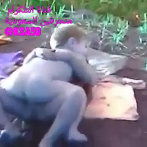 pussy cum